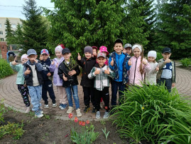 Аллея выпускников! Аллея выпускников!.